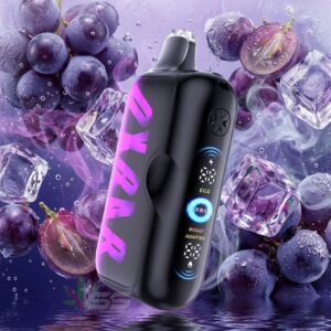 Oxbar G100K Disposable Vape - Grape Ice
