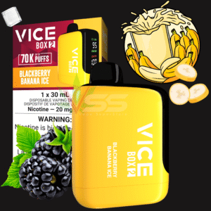 Vice Box 2 70k Disposable Vape - Blackberry Banana Ice